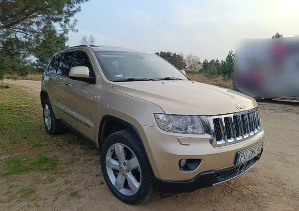 jeep kujawsko-pomorskie Jeep Grand Cherokee cena 62500 przebieg: 231000, rok produkcji 2011 z Poznań